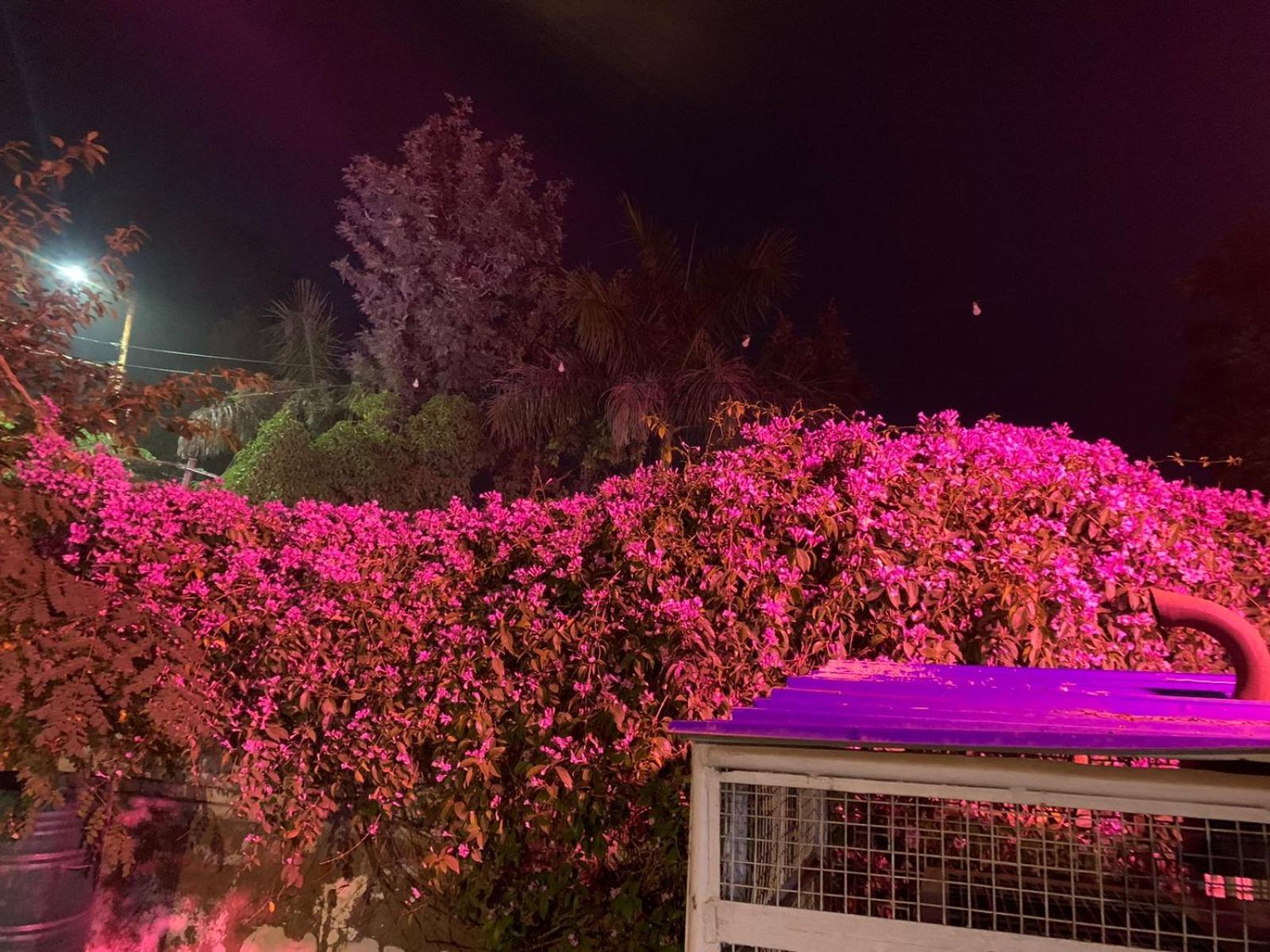 Nature Resort Agra  Extérieur photo